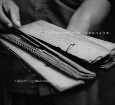 Nadi Astrology