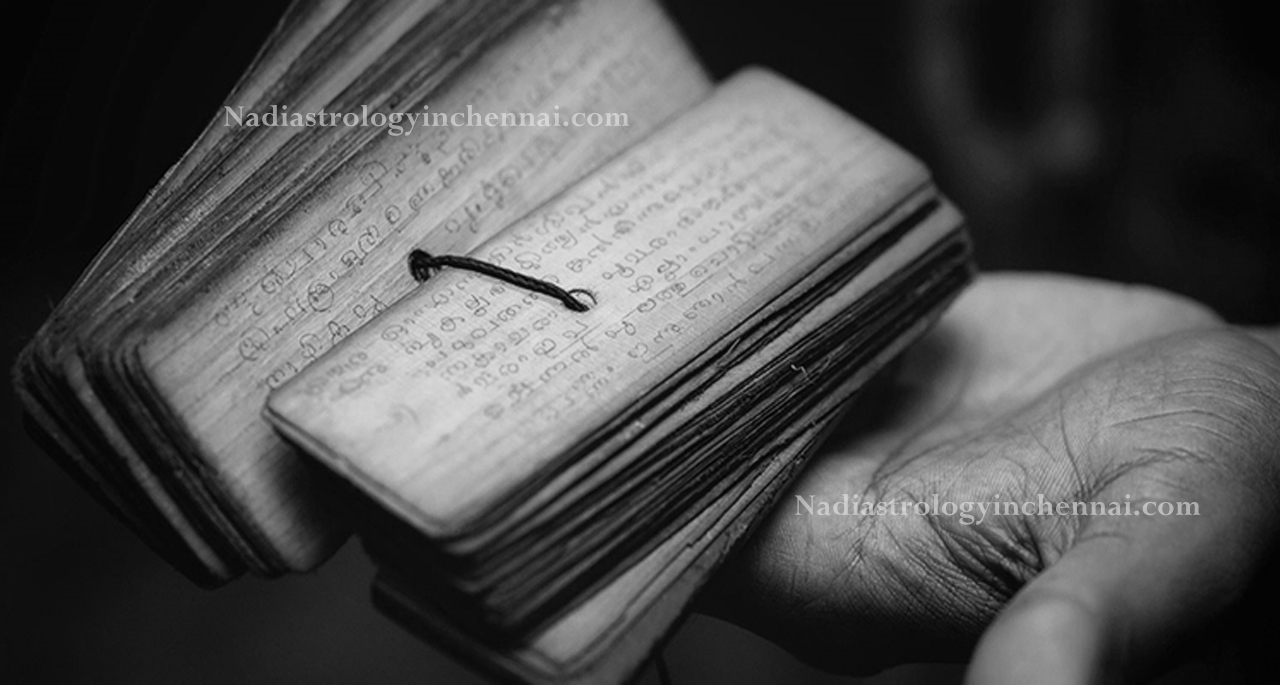 Nadi Astrology